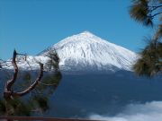 Ala (Noly). Santa Cruz, Santa Cruz de Tenerife